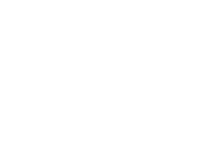 PromoCentric Web Stores