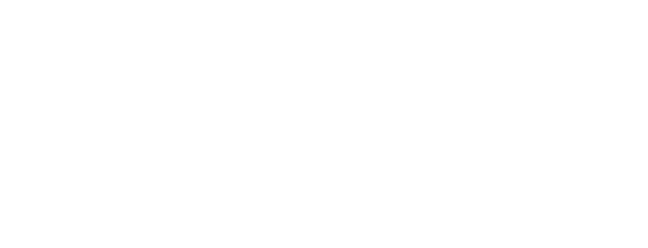 stonyfield logo